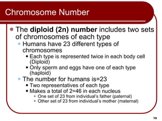 09 Lecture Animation Ppt | PPT