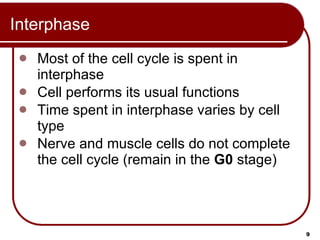 Interphase Example Slide View 09 Lecture Animation Ppt | PPT
