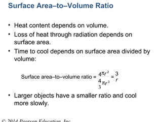 • Heat content depends on volume.
• Loss of heat through radiation depends on
surface area.
• Time to cool depends on surface area divided by
volume:
• Larger objects have a smaller ratio and cool
more slowly.
3
Surface area–to–volume ratio =
4πr 2
4πr 3
=
3
r
Surface Area–to–Volume Ratio
 