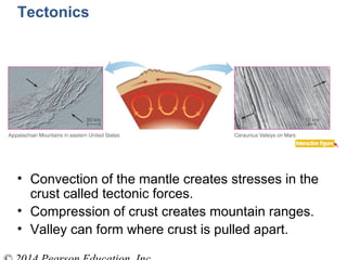 • Convection of the mantle creates stresses in the
crust called tectonic forces.
• Compression of crust creates mountain ranges.
• Valley can form where crust is pulled apart.
Tectonics
 
