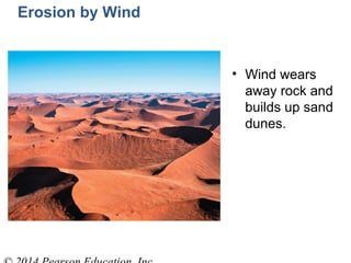 Erosion by Wind
• Wind wears
away rock and
builds up sand
dunes.
 