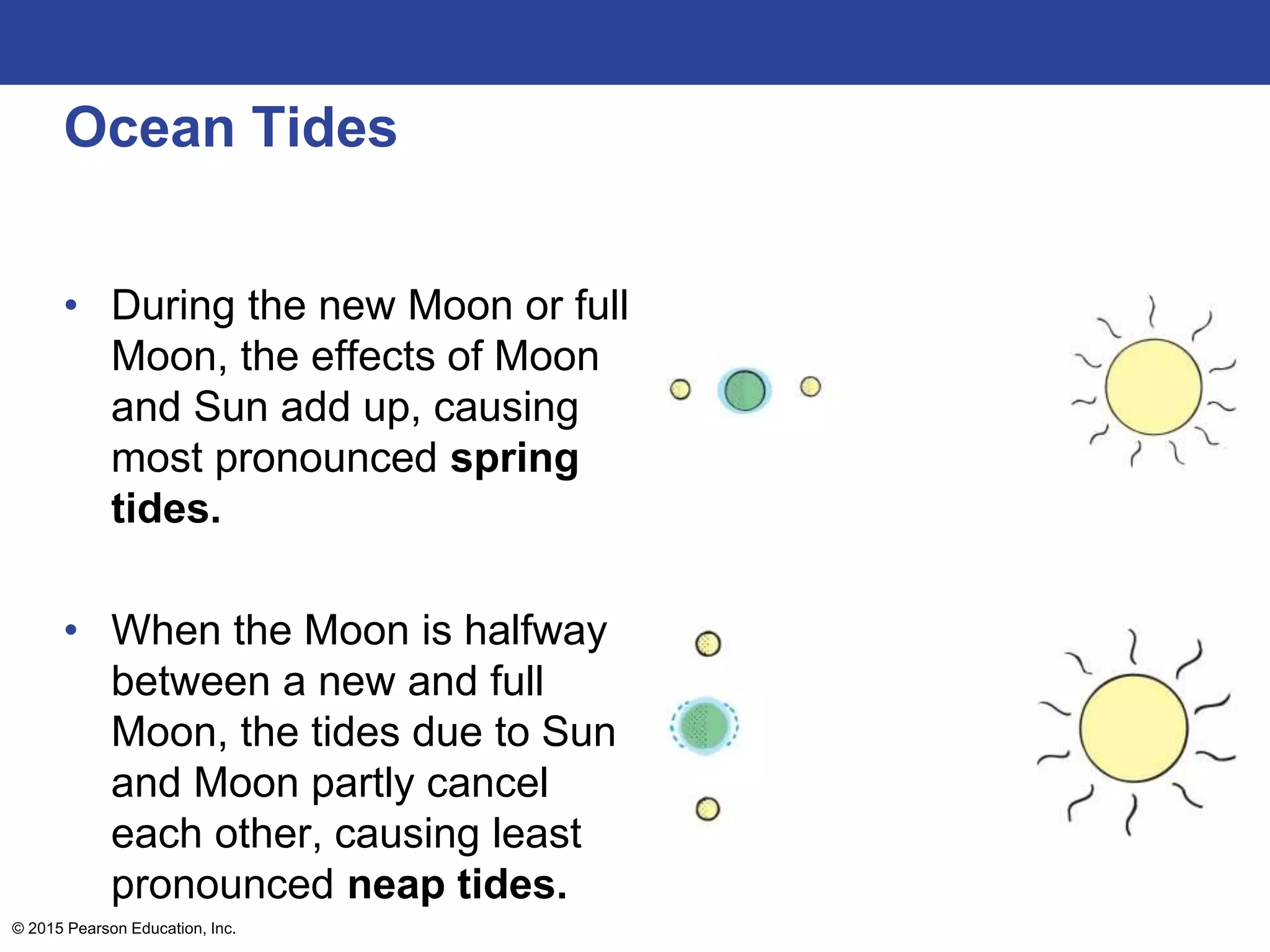 Ocean Tides
• During the new Moon or full
Moon, the effects of Moon
and Sun add up, causing
most pronounced spring
tides.
• When the Moon is halfway
between a new and full
Moon, the tides due to Sun
and Moon partly cancel
each other, causing least
pronounced neap tides.
© 2015 Pearson Education, Inc.
 