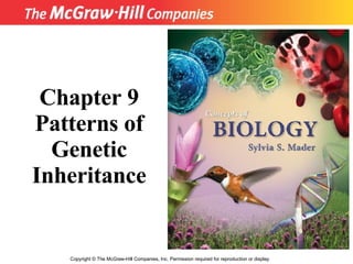 Copyright  ©  The McGraw-Hill Companies, Inc. Permission required for reproduction or display. Chapter 9 Patterns of Genetic Inheritance 