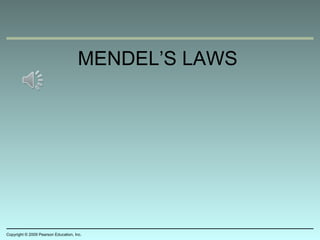 MENDEL’S LAWS
Copyright © 2009 Pearson Education, Inc.
 