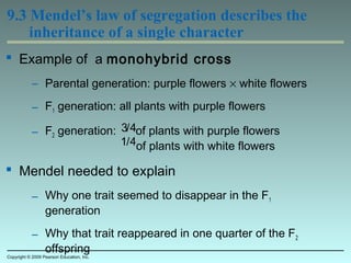 9.3 Mendel’s law of segregation describes the
inheritance of a single character
 Example of a monohybrid cross
– Parental generation: purple flowers × white flowers
– F1 generation: all plants with purple flowers
– F2 generation: of plants with purple flowers
of plants with white flowers
 Mendel needed to explain
– Why one trait seemed to disappear in the F1
generation
– Why that trait reappeared in one quarter of the F2
offspring
Copyright © 2009 Pearson Education, Inc.
3/4
1/4
 