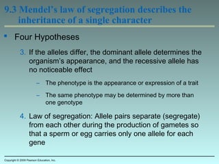 9.3 Mendel’s law of segregation describes the
inheritance of a single character
 Four Hypotheses
3. If the alleles differ, the dominant allele determines the
organism’s appearance, and the recessive allele has
no noticeable effect
– The phenotype is the appearance or expression of a trait
– The same phenotype may be determined by more than
one genotype
4. Law of segregation: Allele pairs separate (segregate)
from each other during the production of gametes so
that a sperm or egg carries only one allele for each
gene
Copyright © 2009 Pearson Education, Inc.
 