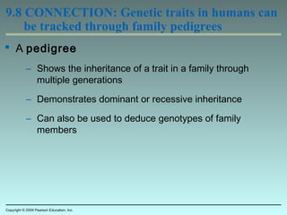 9.8 CONNECTION: Genetic traits in humans can
be tracked through family pedigrees
 A pedigree
– Shows the inheritance of a trait in a family through
multiple generations
– Demonstrates dominant or recessive inheritance
– Can also be used to deduce genotypes of family
members
Copyright © 2009 Pearson Education, Inc.
 