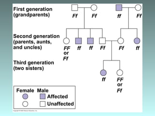 Ff
Female Male
Affected
Unaffected
First generation
(grandparents)
Second generation
(parents, aunts,
and uncles)
Third generation
(two sisters)
Ff Ff
Ff
Ff Ff
Ff
ff
ff ff ff
ff
FF
FF
or
or
 