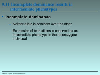 9.11 Incomplete dominance results in
intermediate phenotypes
 Incomplete dominance
– Neither allele is dominant over the other
– Expression of both alleles is observed as an
intermediate phenotype in the heterozygous
individual
Copyright © 2009 Pearson Education, Inc.
 