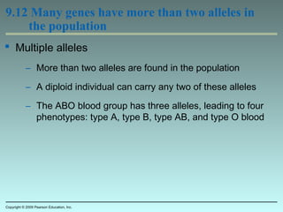9.12 Many genes have more than two alleles in
the population
 Multiple alleles
– More than two alleles are found in the population
– A diploid individual can carry any two of these alleles
– The ABO blood group has three alleles, leading to four
phenotypes: type A, type B, type AB, and type O blood
Copyright © 2009 Pearson Education, Inc.
 