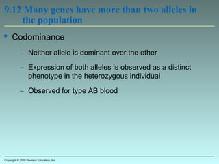 9.12 Many genes have more than two alleles in
the population
 Codominance
– Neither allele is dominant over the other
– Expression of both alleles is observed as a distinct
phenotype in the heterozygous individual
– Observed for type AB blood
Copyright © 2009 Pearson Education, Inc.
 