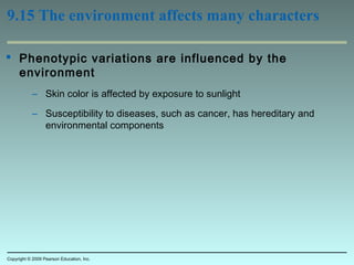 9.15 The environment affects many characters
 Phenotypic variations are influenced by the
environment
– Skin color is affected by exposure to sunlight
– Susceptibility to diseases, such as cancer, has hereditary and
environmental components
Copyright © 2009 Pearson Education, Inc.
 