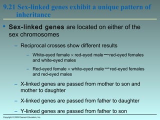  Sex-linked genes are located on either of the
sex chromosomes
– Reciprocal crosses show different results
– White-eyed female × red-eyed male red-eyed females
and white-eyed males
– Red-eyed female × white-eyed male red-eyed females
and red-eyed males
– X-linked genes are passed from mother to son and
mother to daughter
– X-linked genes are passed from father to daughter
– Y-linked genes are passed from father to son
9.21 Sex-linked genes exhibit a unique pattern of
inheritance
Copyright © 2009 Pearson Education, Inc.
 