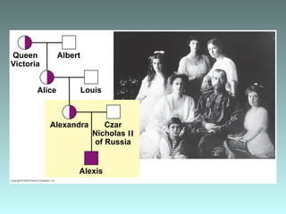 Queen
Victoria
Albert
Alice Louis
Alexandra Czar
Nicholas II
of Russia
Alexis
 