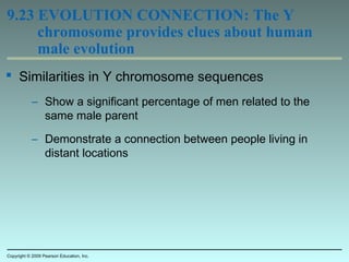 9.23 EVOLUTION CONNECTION: The Y
chromosome provides clues about human
male evolution
 Similarities in Y chromosome sequences
– Show a significant percentage of men related to the
same male parent
– Demonstrate a connection between people living in
distant locations
Copyright © 2009 Pearson Education, Inc.
 