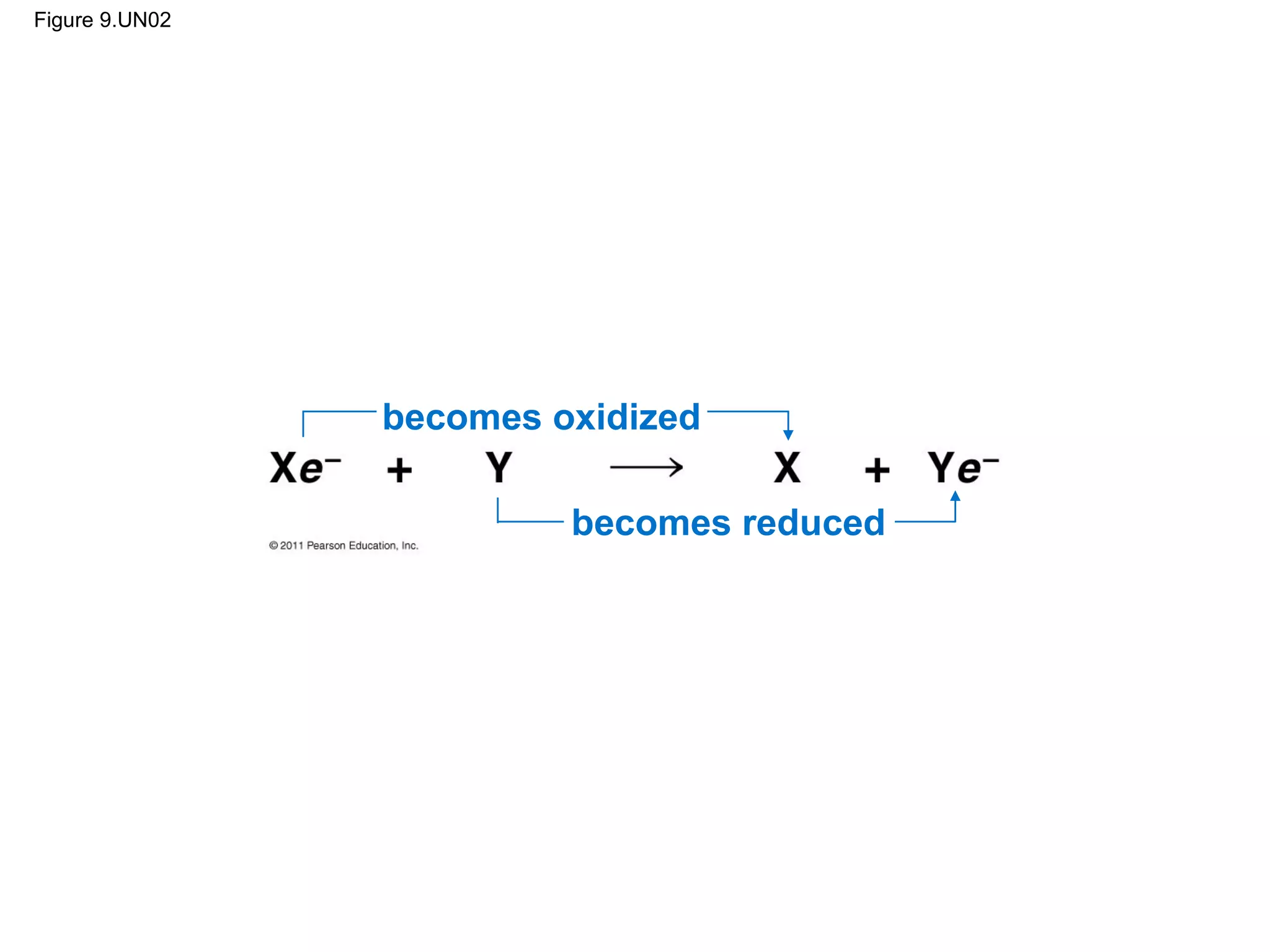 Figure 9.UN02




                becomes oxidized

                         becomes reduced
 