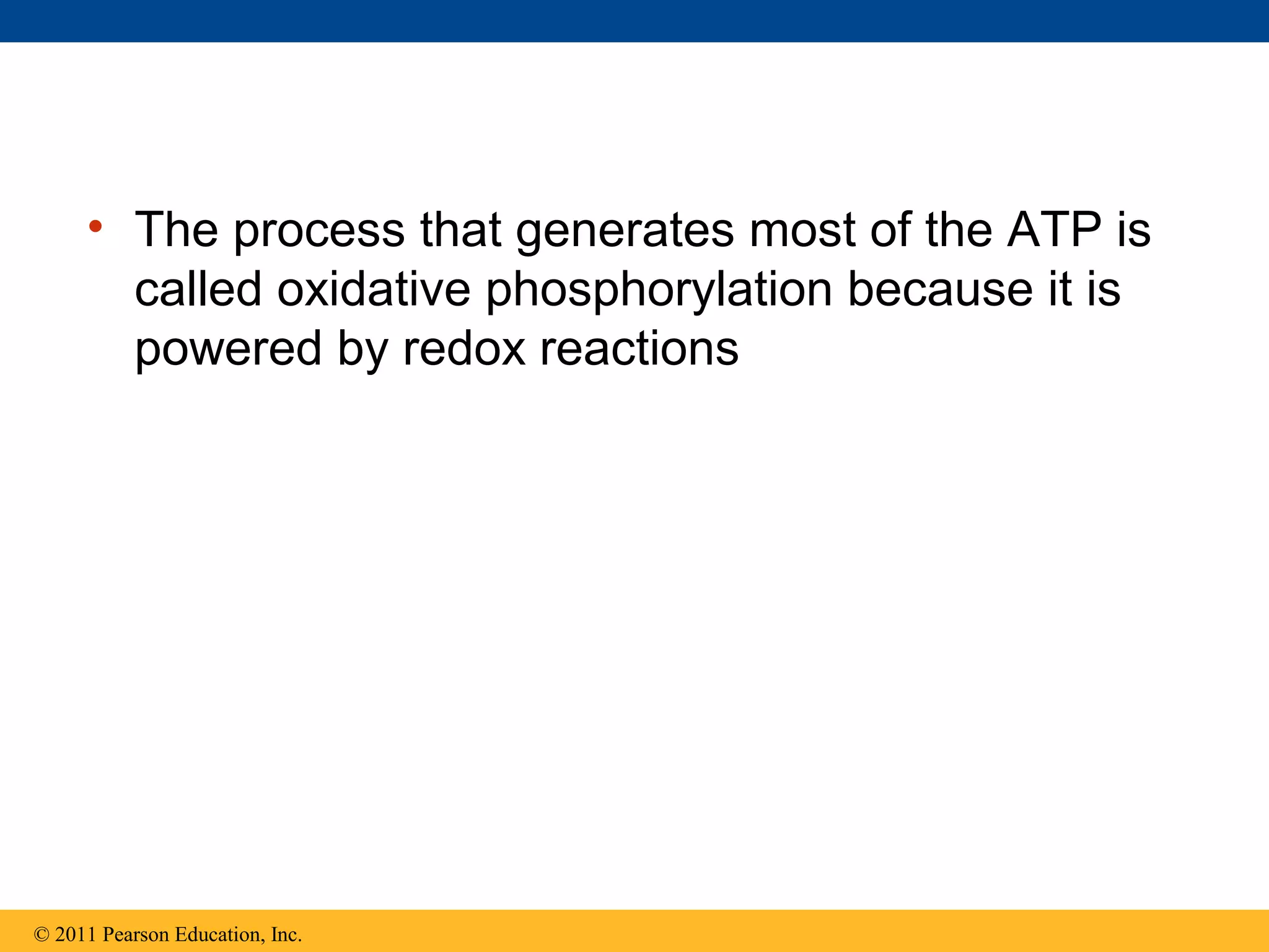 • The process that generates most of the ATP is
       called oxidative phosphorylation because it is
       powered by redox reactions




© 2011 Pearson Education, Inc.
 
