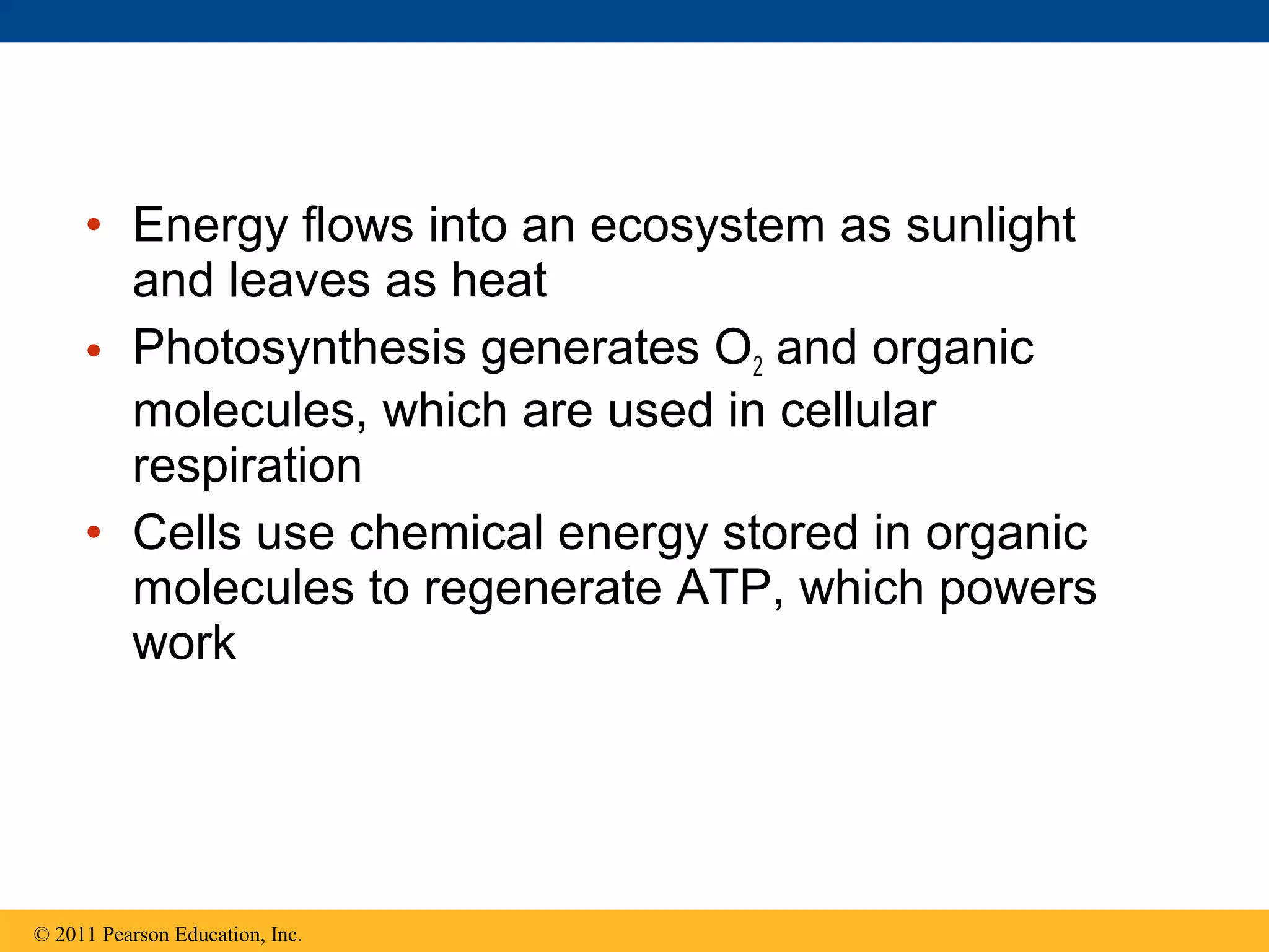 • Energy flows into an ecosystem as sunlight
       and leaves as heat
     • Photosynthesis generates O2 and organic
       molecules, which are used in cellular
       respiration
     • Cells use chemical energy stored in organic
       molecules to regenerate ATP, which powers
       work




© 2011 Pearson Education, Inc.
 