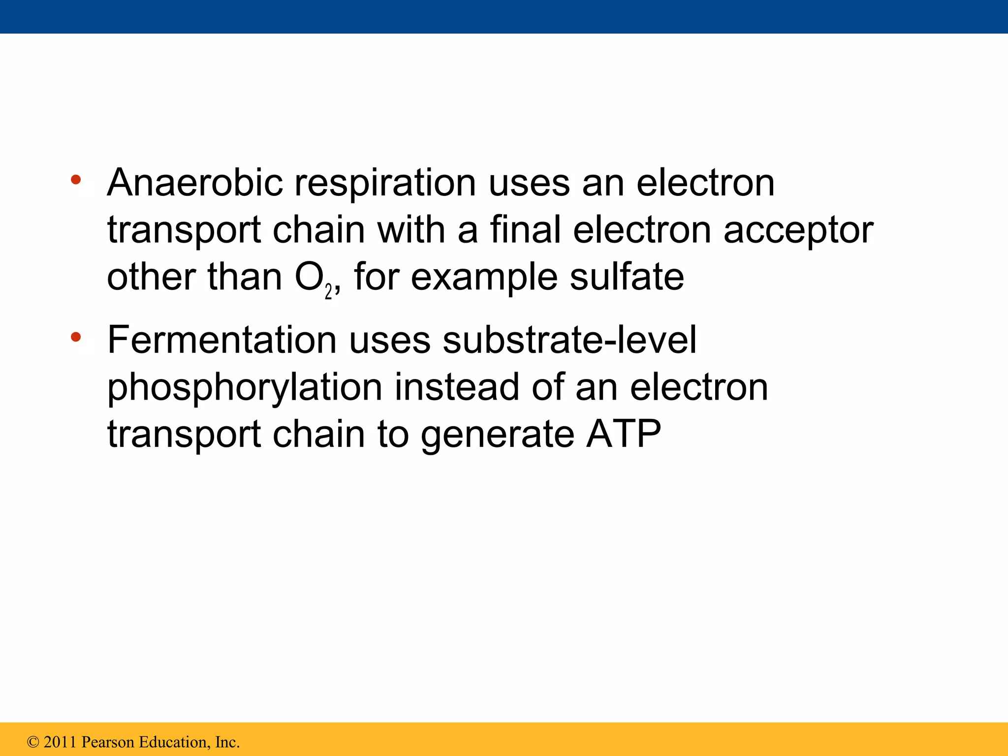 • Anaerobic respiration uses an electron
       transport chain with a final electron acceptor
       other than O2, for example sulfate
     • Fermentation uses substrate-level
       phosphorylation instead of an electron
       transport chain to generate ATP




© 2011 Pearson Education, Inc.
 