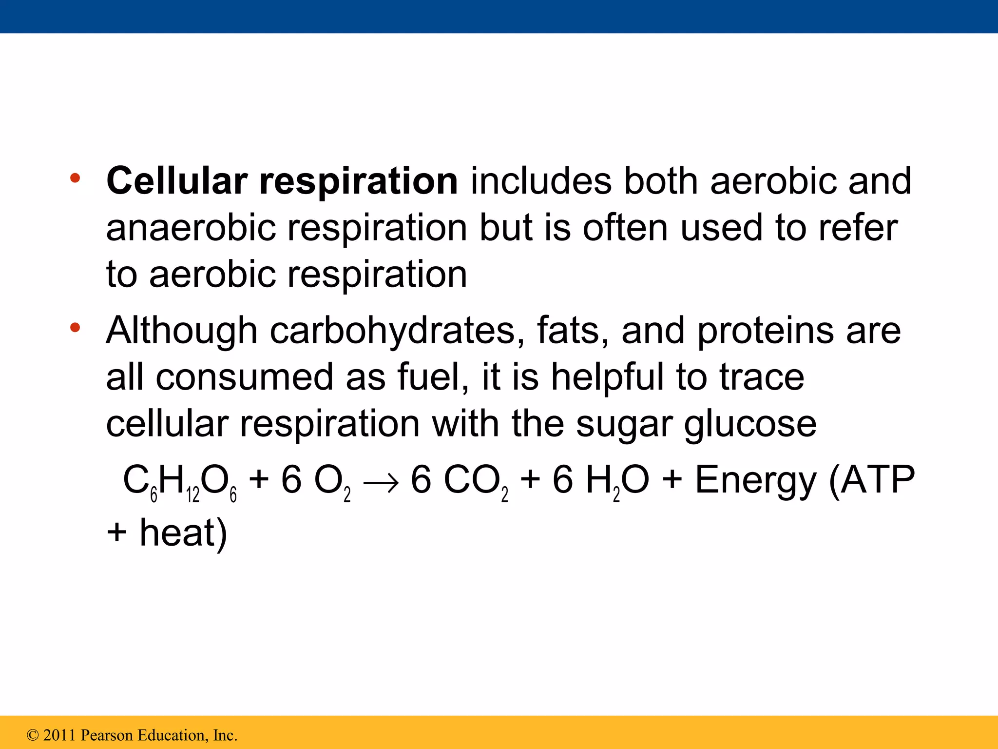 • Cellular respiration includes both aerobic and
       anaerobic respiration but is often used to refer
       to aerobic respiration
     • Although carbohydrates, fats, and proteins are
       all consumed as fuel, it is helpful to trace
       cellular respiration with the sugar glucose
        C6H12O6 + 6 O2 → 6 CO2 + 6 H2O + Energy (ATP
       + heat)




© 2011 Pearson Education, Inc.
 