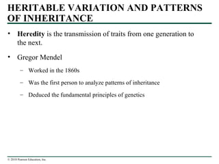 © 2010 Pearson Education, Inc.
• Heredity is the transmission of traits from one generation to
the next.
• Gregor Mendel
– Worked in the 1860s
– Was the first person to analyze patterns of inheritance
– Deduced the fundamental principles of genetics
HERITABLE VARIATION AND PATTERNS
OF INHERITANCE
 