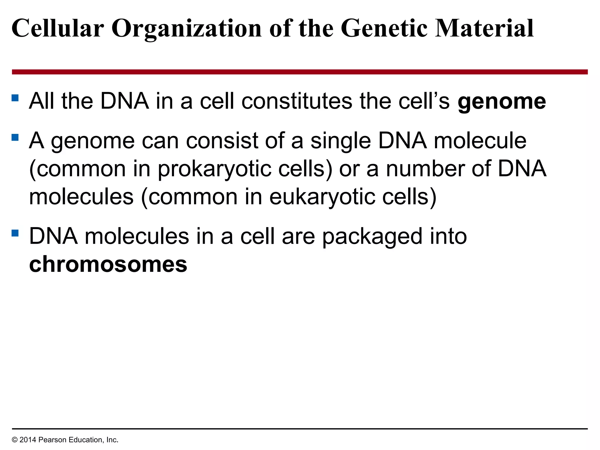 Cellular Organization of the Genetic Material
 All the DNA in a cell constitutes the cell’s genome
 A genome can consist of a single DNA molecule
(common in prokaryotic cells) or a number of DNA
molecules (common in eukaryotic cells)
 DNA molecules in a cell are packaged into
chromosomes
© 2014 Pearson Education, Inc.
 