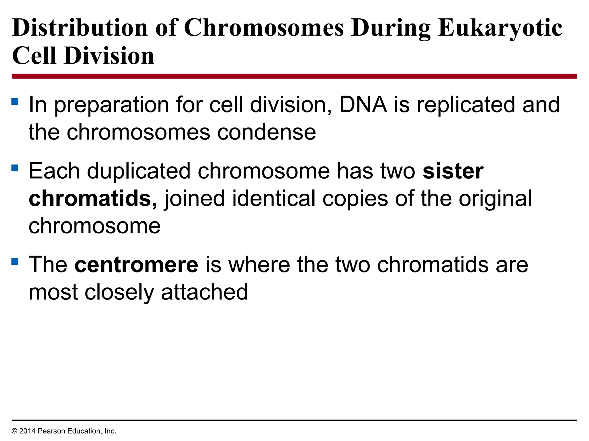 Distribution of Chromosomes During Eukaryotic
Cell Division
 In preparation for cell division, DNA is replicated and
the chromosomes condense
 Each duplicated chromosome has two sister
chromatids, joined identical copies of the original
chromosome
 The centromere is where the two chromatids are
most closely attached
© 2014 Pearson Education, Inc.
 