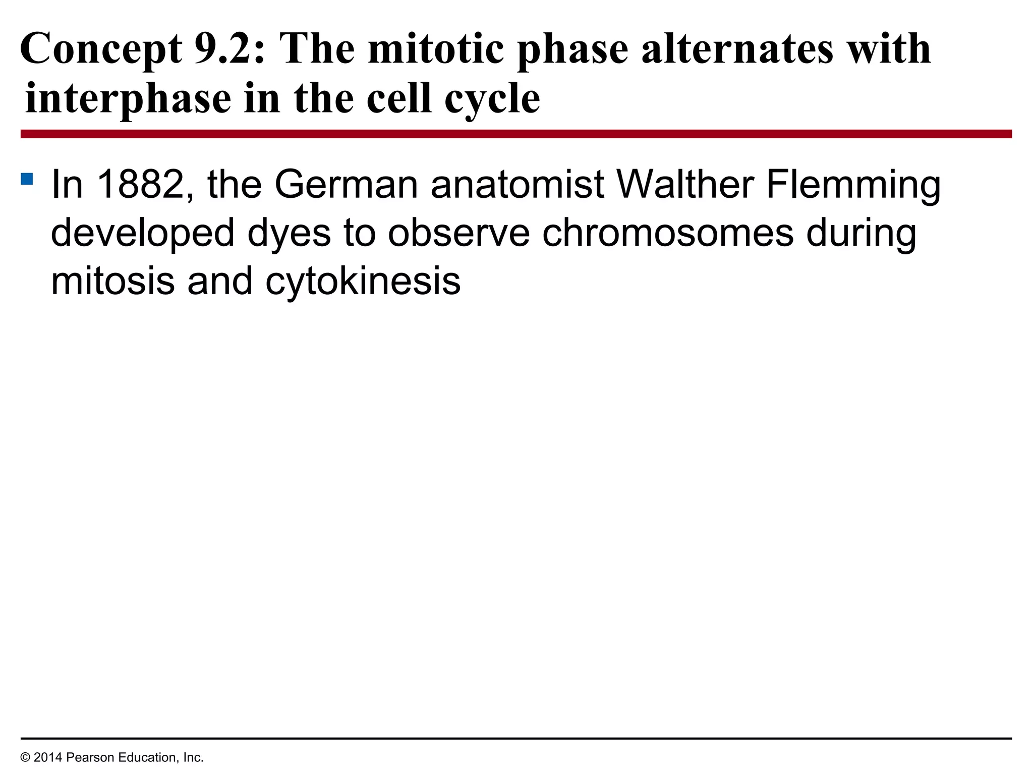 Concept 9.2: The mitotic phase alternates with
interphase in the cell cycle
 In 1882, the German anatomist Walther Flemming
developed dyes to observe chromosomes during
mitosis and cytokinesis
© 2014 Pearson Education, Inc.
 