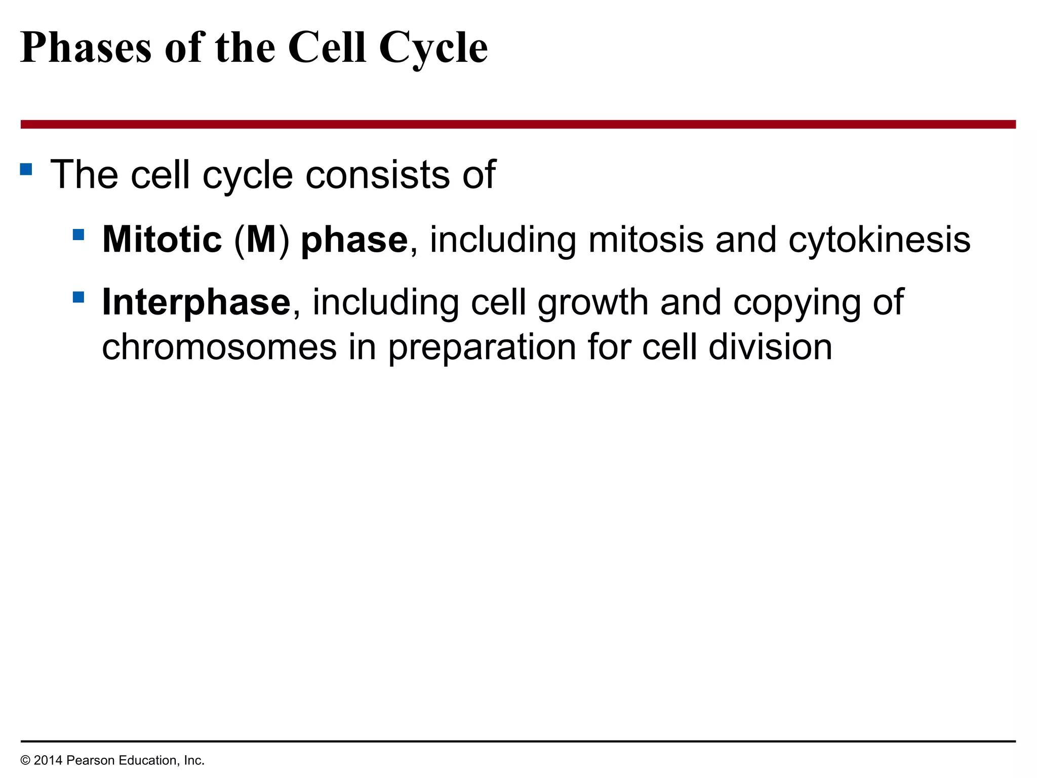 Phases of the Cell Cycle
 The cell cycle consists of
 Mitotic (M) phase, including mitosis and cytokinesis
 Interphase, including cell growth and copying of
chromosomes in preparation for cell division
© 2014 Pearson Education, Inc.
 