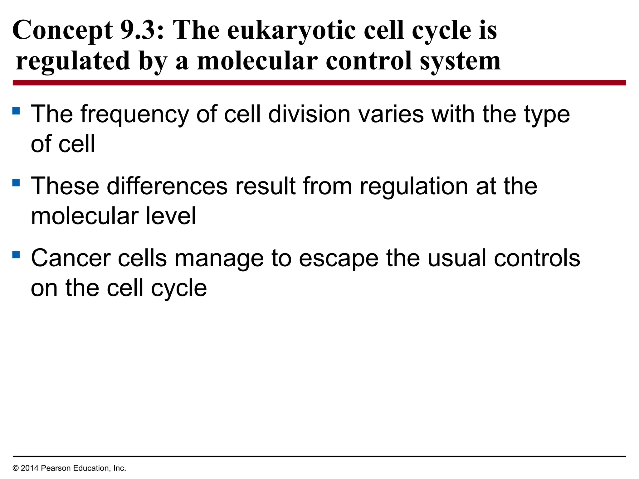 Concept 9.3: The eukaryotic cell cycle is
regulated by a molecular control system
 The frequency of cell division varies with the type
of cell
 These differences result from regulation at the
molecular level
 Cancer cells manage to escape the usual controls
on the cell cycle
© 2014 Pearson Education, Inc.
 