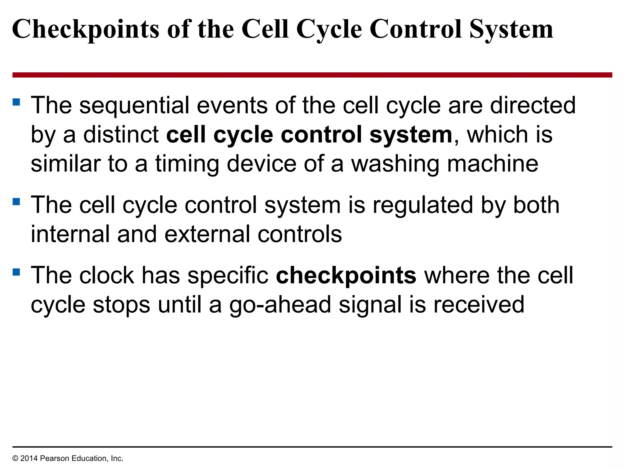 Checkpoints of the Cell Cycle Control System
 The sequential events of the cell cycle are directed
by a distinct cell cycle control system, which is
similar to a timing device of a washing machine
 The cell cycle control system is regulated by both
internal and external controls
 The clock has specific checkpoints where the cell
cycle stops until a go-ahead signal is received
© 2014 Pearson Education, Inc.
 