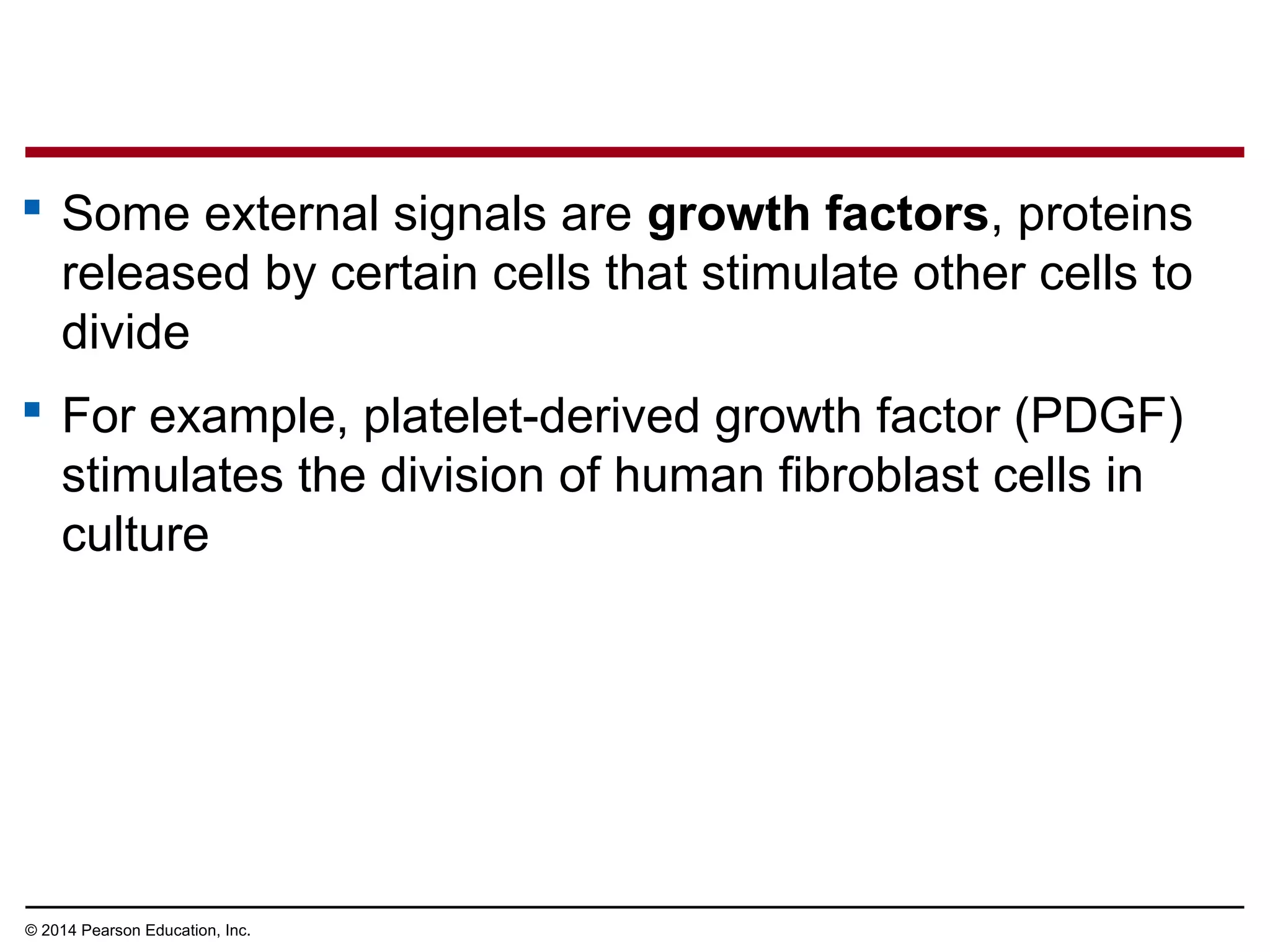  Some external signals are growth factors, proteins
released by certain cells that stimulate other cells to
divide
 For example, platelet-derived growth factor (PDGF)
stimulates the division of human fibroblast cells in
culture
© 2014 Pearson Education, Inc.
 