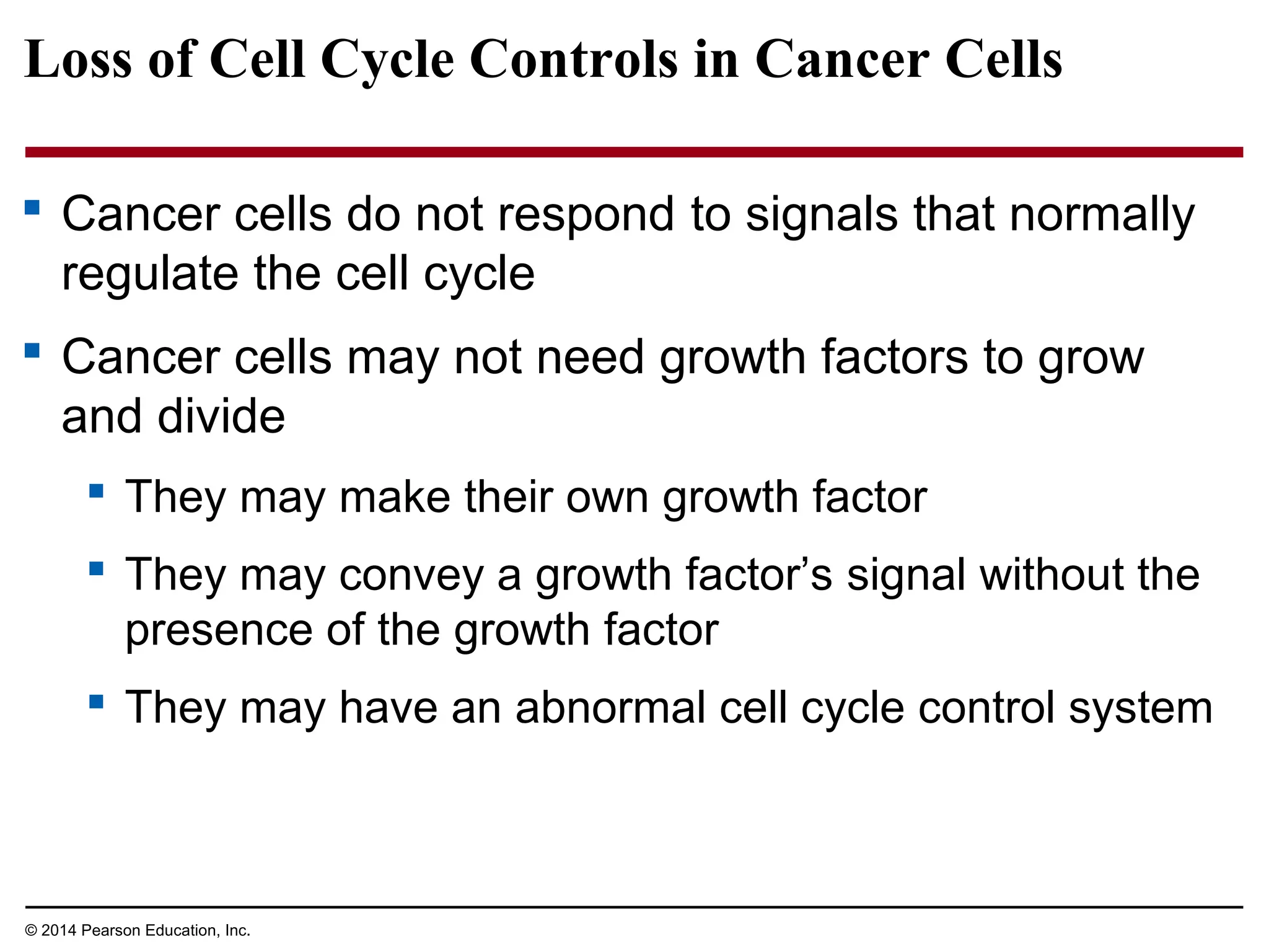Loss of Cell Cycle Controls in Cancer Cells
 Cancer cells do not respond to signals that normally
regulate the cell cycle
 Cancer cells may not need growth factors to grow
and divide
 They may make their own growth factor
 They may convey a growth factor’s signal without the
presence of the growth factor
 They may have an abnormal cell cycle control system
© 2014 Pearson Education, Inc.
 