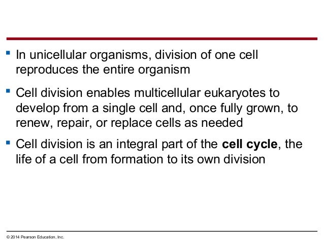 Biology In Focus Chapter 9