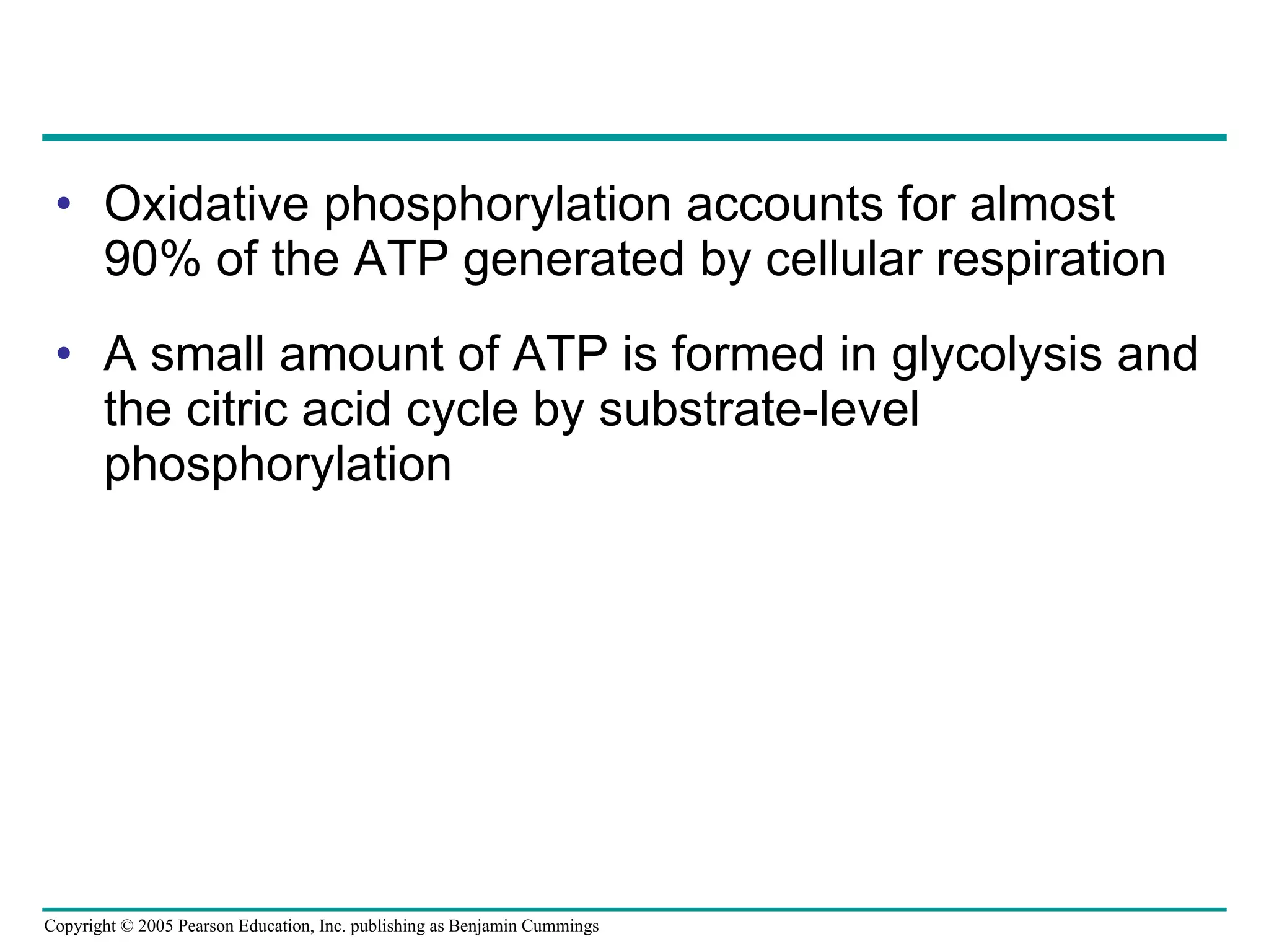 Oxidative phosphorylation accounts for almost 90% of the ATP generated by cellular respiration A small amount of ATP is formed in glycolysis and the citric acid cycle by substrate-level phosphorylation 