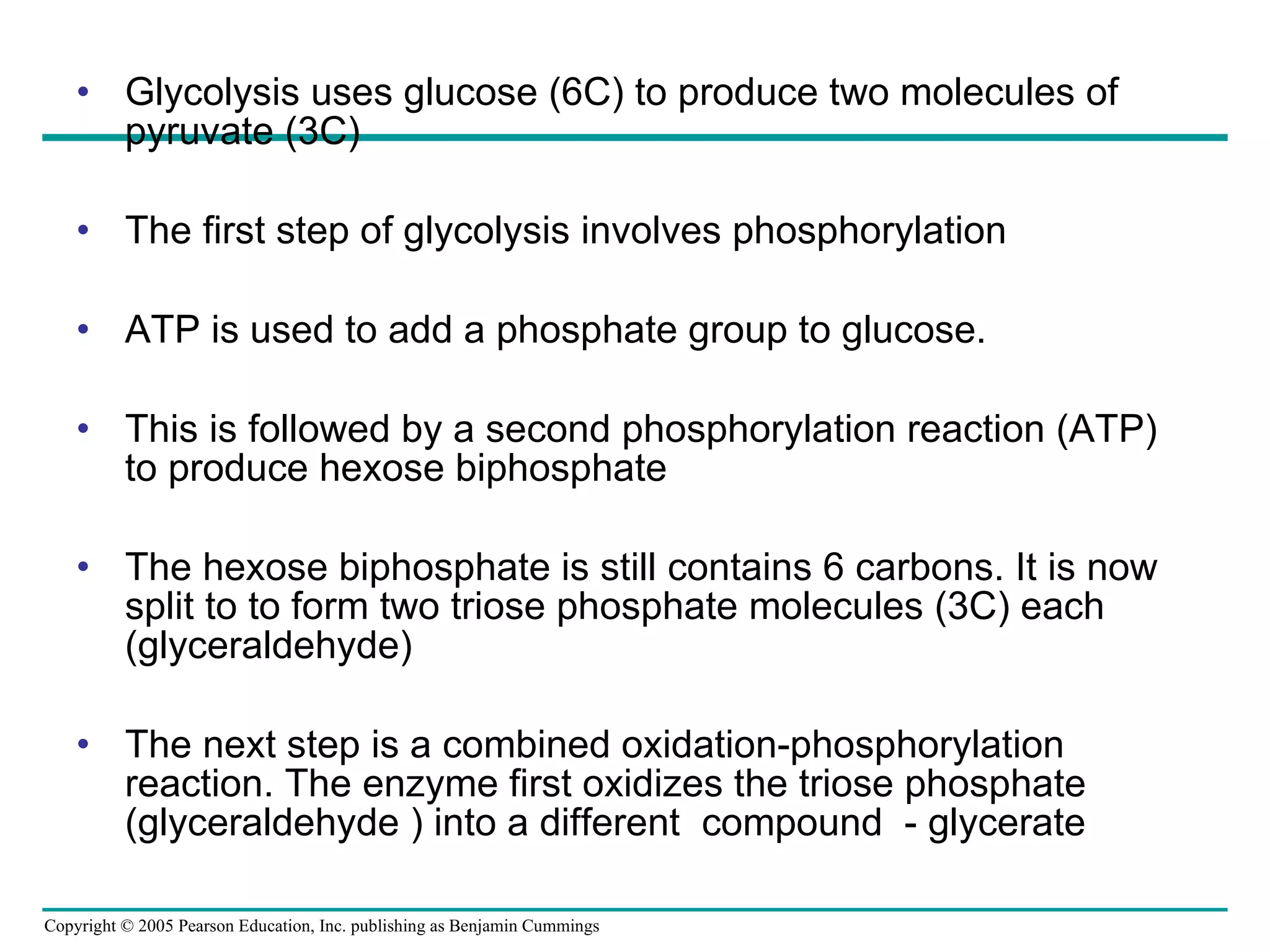 Glycolysis uses glucose (6C) to produce two molecules of pyruvate (3C) The first step of glycolysis involves phosphorylation ATP is used to add a phosphate group to glucose. This is followed by a second phosphorylation reaction (ATP) to produce hexose biphosphate The hexose biphosphate is still contains 6 carbons. It is now split to to form two triose phosphate molecules (3C) each (glyceraldehyde) The next step is a combined oxidation-phosphorylation reaction. The enzyme first oxidizes the triose phosphate (glyceraldehyde ) into a different  compound  - glycerate 