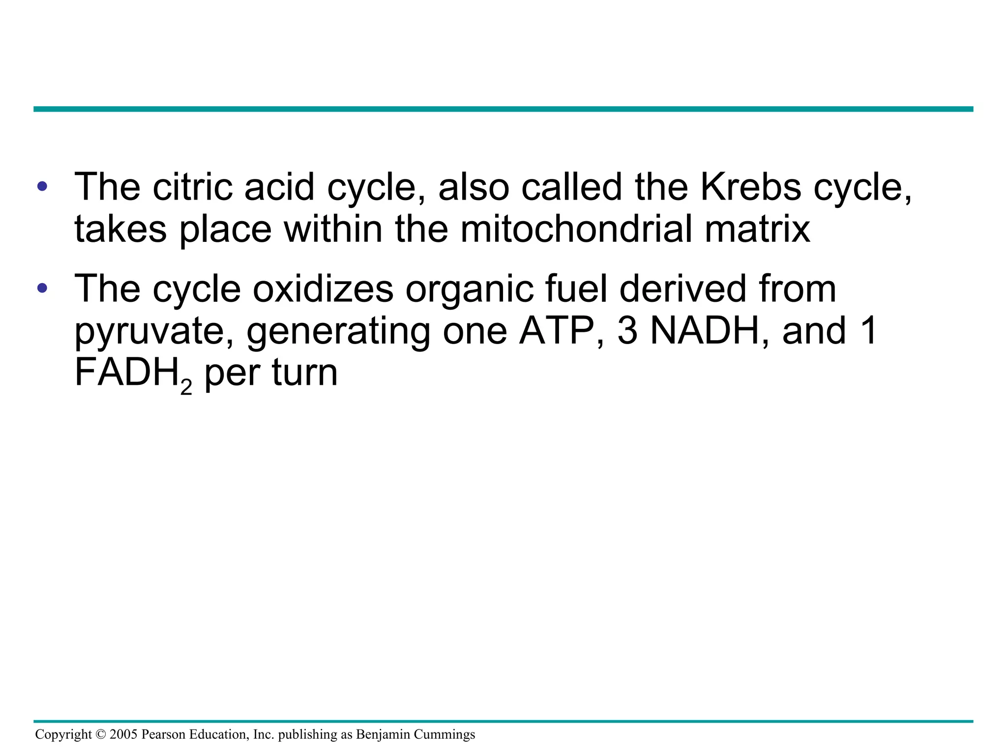 The citric acid cycle, also called the Krebs cycle, takes place within the mitochondrial matrix The cycle oxidizes organic fuel derived from pyruvate, generating one ATP, 3 NADH, and 1 FADH 2  per turn 