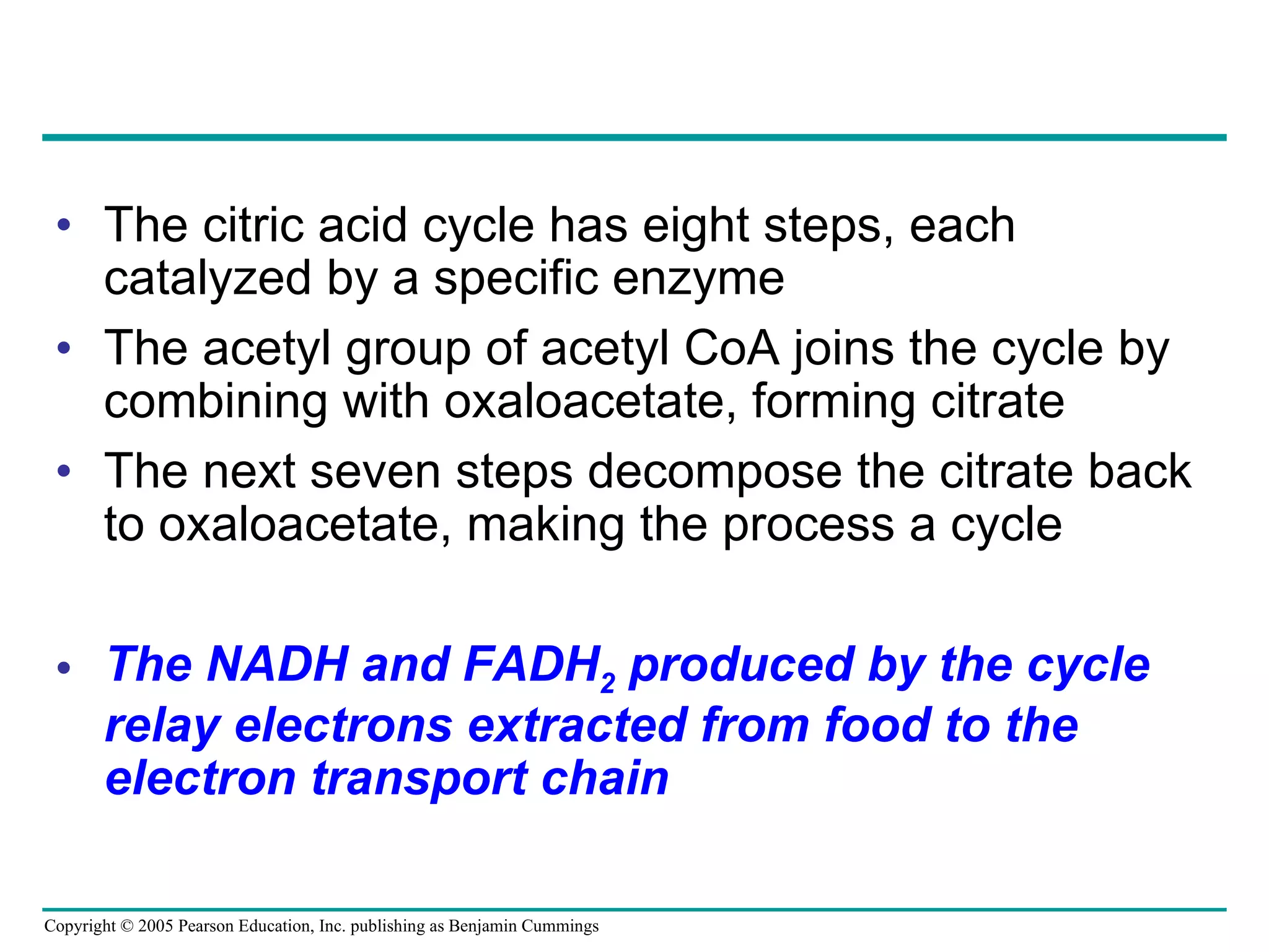 The citric acid cycle has eight steps, each catalyzed by a specific enzyme The acetyl group of acetyl CoA joins the cycle by combining with oxaloacetate, forming citrate The next seven steps decompose the citrate back to oxaloacetate, making the process a cycle The NADH and FADH 2  produced by the cycle relay electrons extracted from food to the electron transport chain 