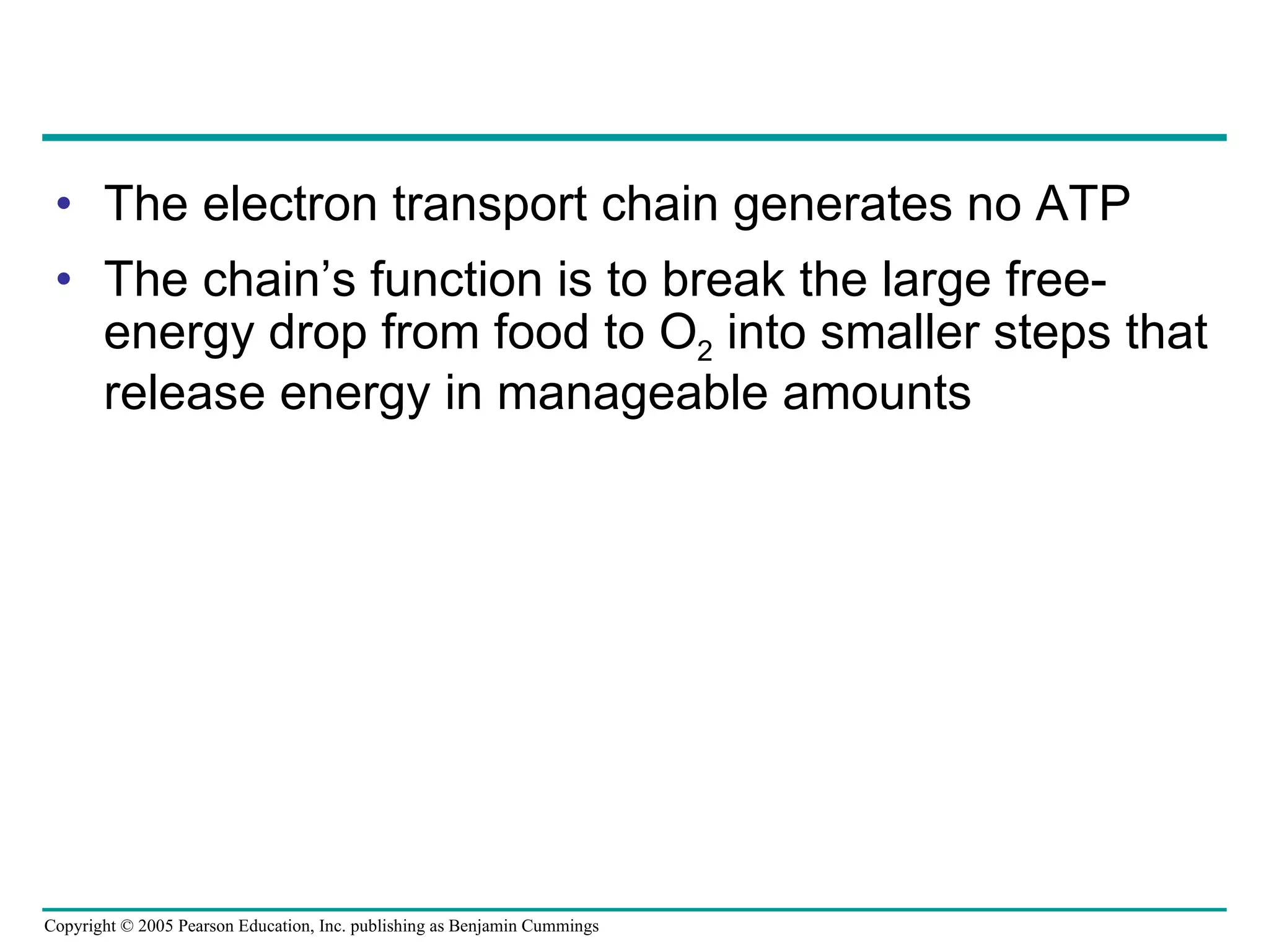 The electron transport chain generates no ATP The chain’s function is to break the large free-energy drop from food to O 2  into smaller steps that release energy in manageable amounts 
