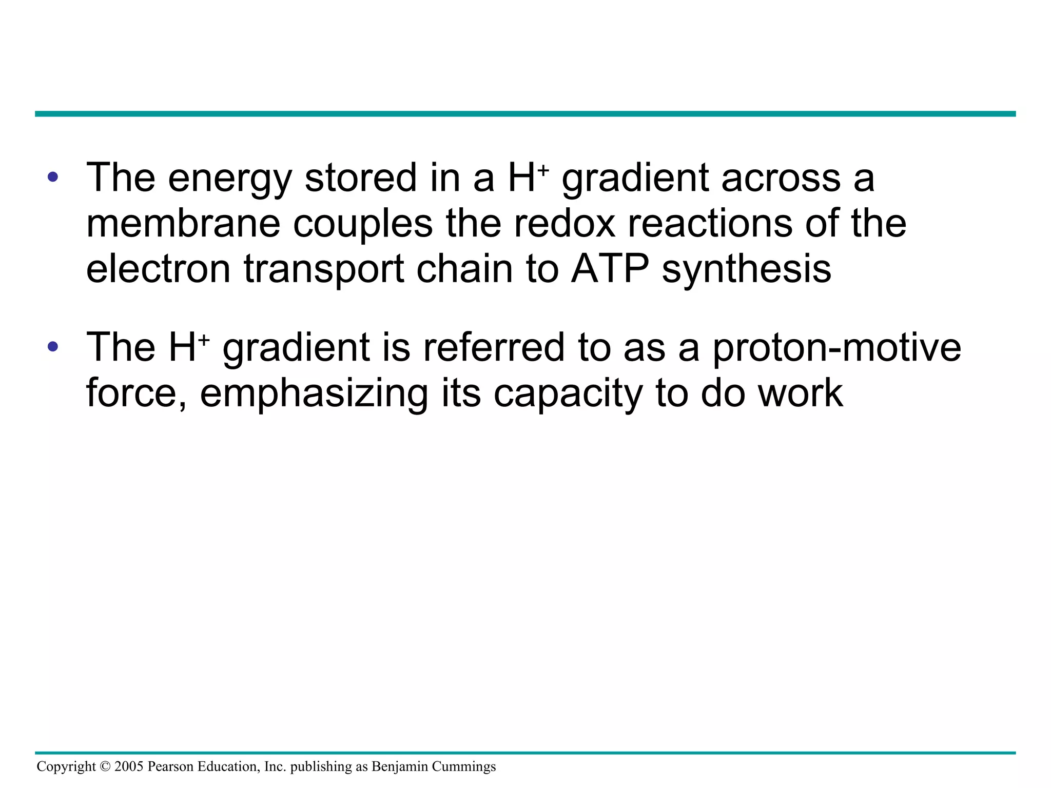 The energy stored in a H +  gradient across a membrane couples the redox reactions of the electron transport chain to ATP synthesis The H +  gradient is referred to as a proton-motive force, emphasizing its capacity to do work 