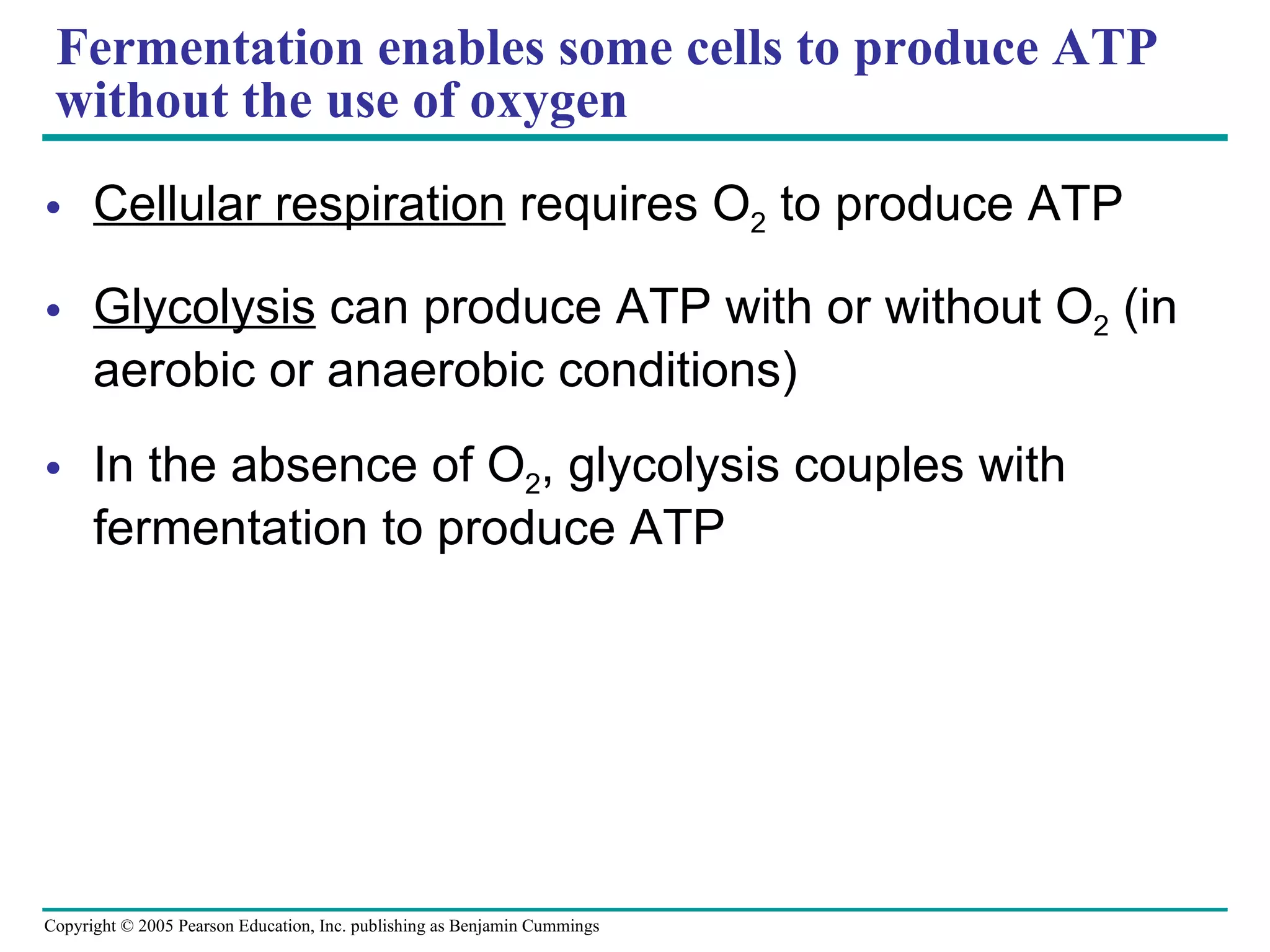 Fermentation enables some cells to produce ATP without the use of oxygen Cellular respiration  requires O 2  to produce ATP Glycolysis  can produce ATP with or without O 2  (in aerobic or anaerobic conditions) In the absence of O 2 , glycolysis couples with fermentation to produce ATP 