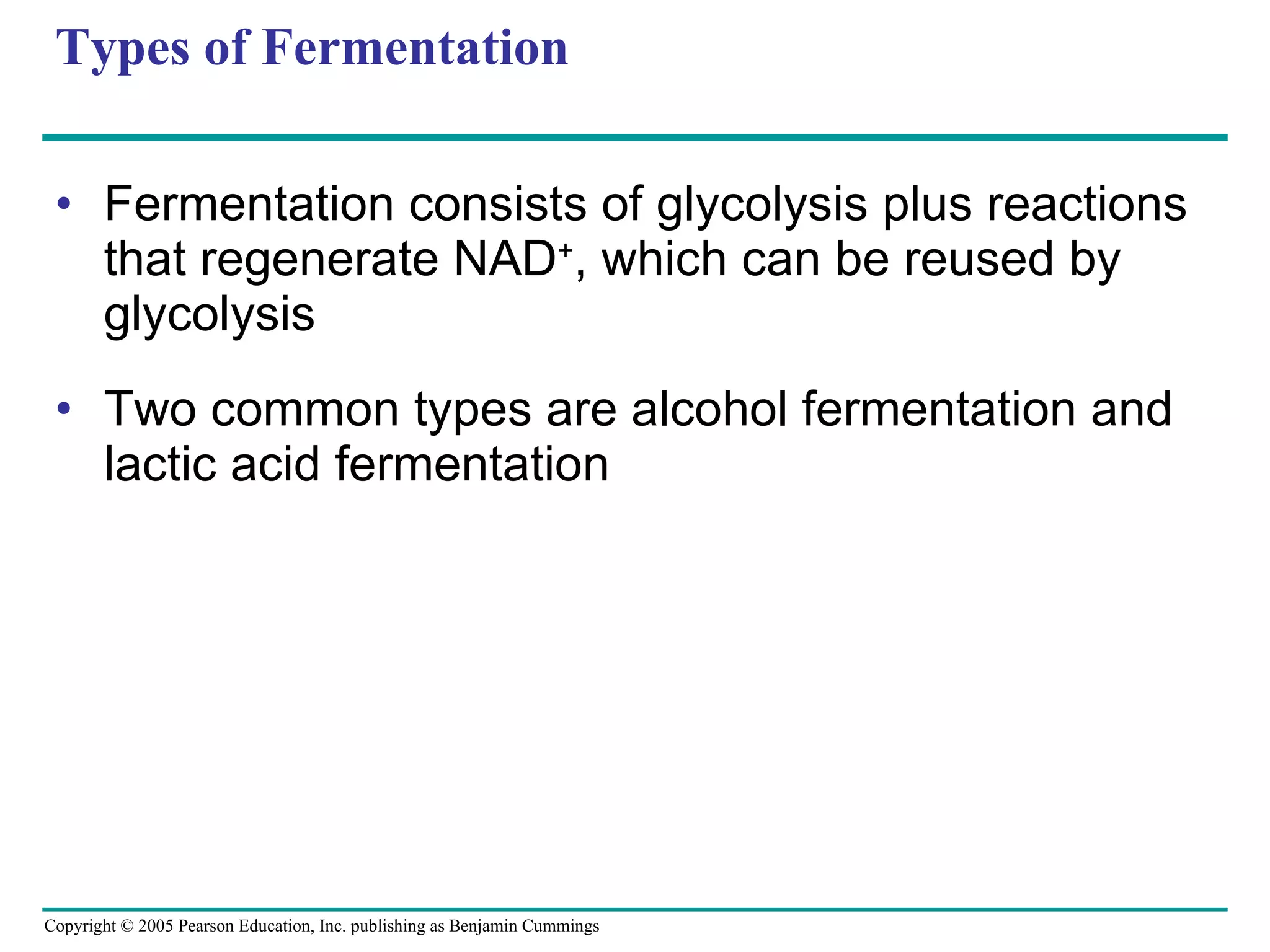 Types of Fermentation Fermentation consists of glycolysis plus reactions that regenerate NAD + , which can be reused by glycolysis Two common types are alcohol fermentation and lactic acid fermentation 