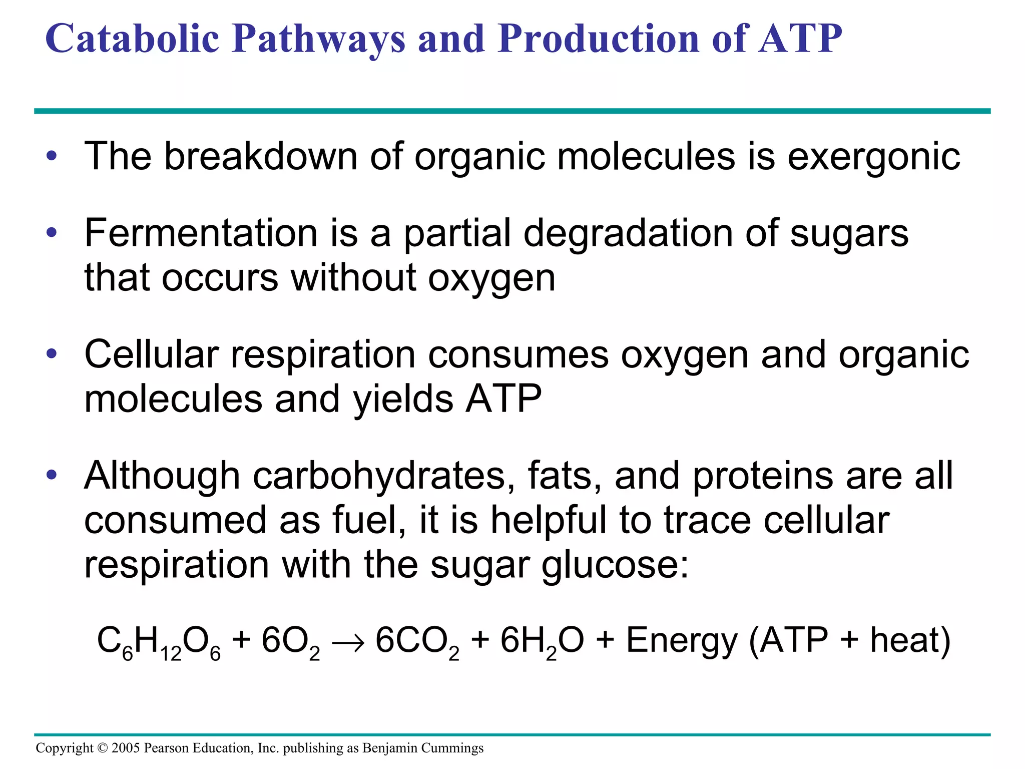 Catabolic Pathways and Production of ATP The breakdown of organic molecules is exergonic Fermentation is a partial degradation of sugars that occurs without oxygen Cellular respiration consumes oxygen and organic molecules and yields ATP Although carbohydrates, fats, and proteins are all consumed as fuel, it is helpful to trace cellular respiration with the sugar glucose: C 6 H 12 O 6  + 6O 2     6CO 2  + 6H 2 O + Energy (ATP + heat) 