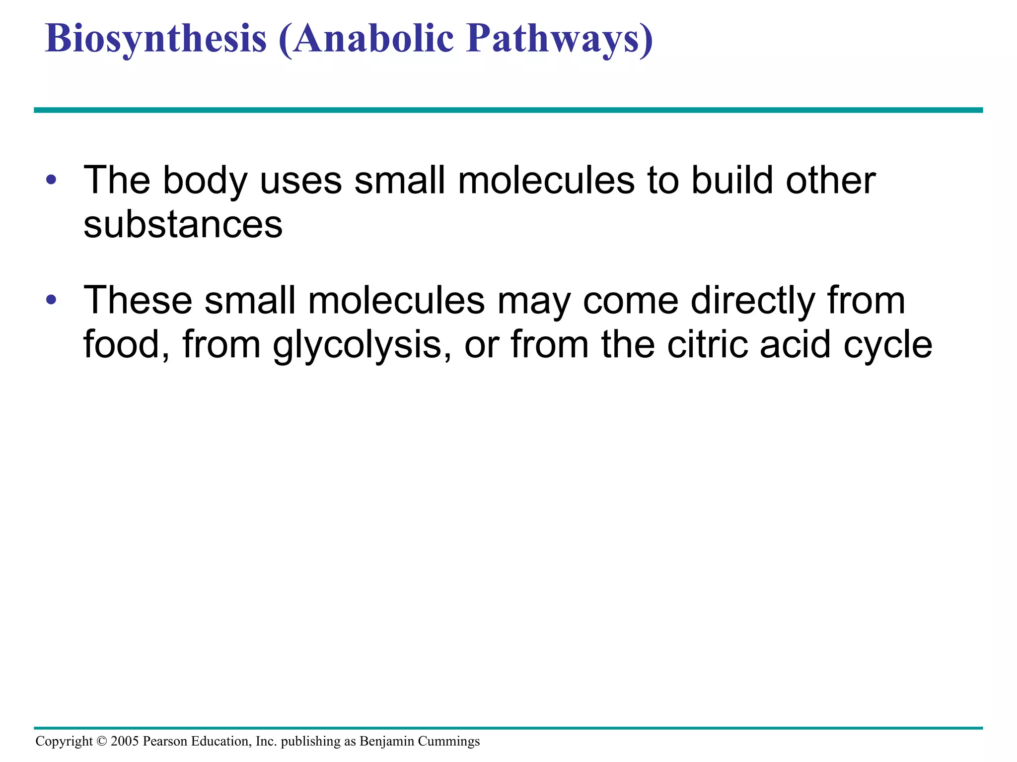Biosynthesis (Anabolic Pathways) The body uses small molecules to build other substances These small molecules may come directly from food, from glycolysis, or from the citric acid cycle 