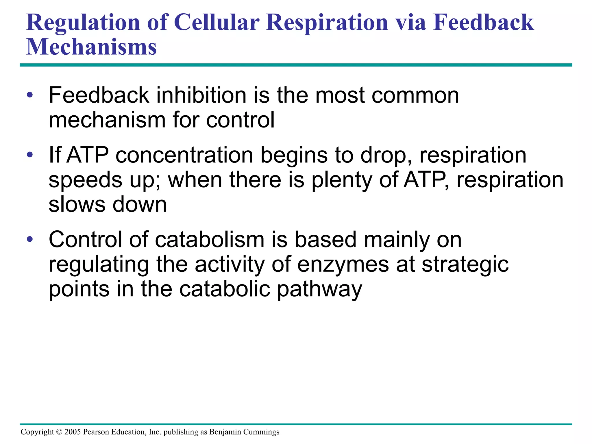 Regulation of Cellular Respiration via Feedback Mechanisms Feedback inhibition is the most common mechanism for control If ATP concentration begins to drop, respiration speeds up; when there is plenty of ATP, respiration slows down Control of catabolism is based mainly on regulating the activity of enzymes at strategic points in the catabolic pathway 