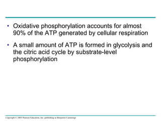 Oxidative phosphorylation accounts for almost 90% of the ATP generated by cellular respiration A small amount of ATP is formed in glycolysis and the citric acid cycle by substrate-level phosphorylation 