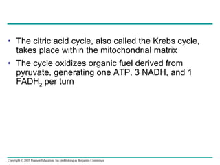 The citric acid cycle, also called the Krebs cycle, takes place within the mitochondrial matrix The cycle oxidizes organic fuel derived from pyruvate, generating one ATP, 3 NADH, and 1 FADH 2  per turn 