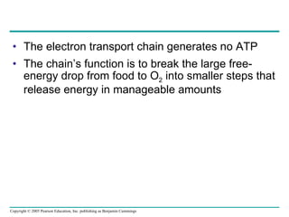 The electron transport chain generates no ATP The chain’s function is to break the large free-energy drop from food to O 2  into smaller steps that release energy in manageable amounts 