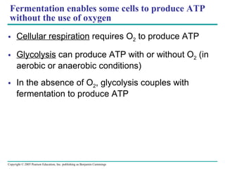 Fermentation enables some cells to produce ATP without the use of oxygen Cellular respiration  requires O 2  to produce ATP Glycolysis  can produce ATP with or without O 2  (in aerobic or anaerobic conditions) In the absence of O 2 , glycolysis couples with fermentation to produce ATP 