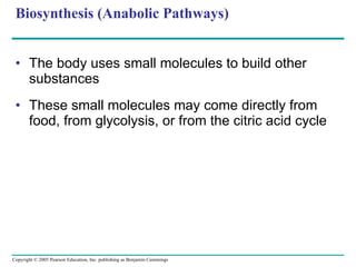 Biosynthesis (Anabolic Pathways) The body uses small molecules to build other substances These small molecules may come directly from food, from glycolysis, or from the citric acid cycle 